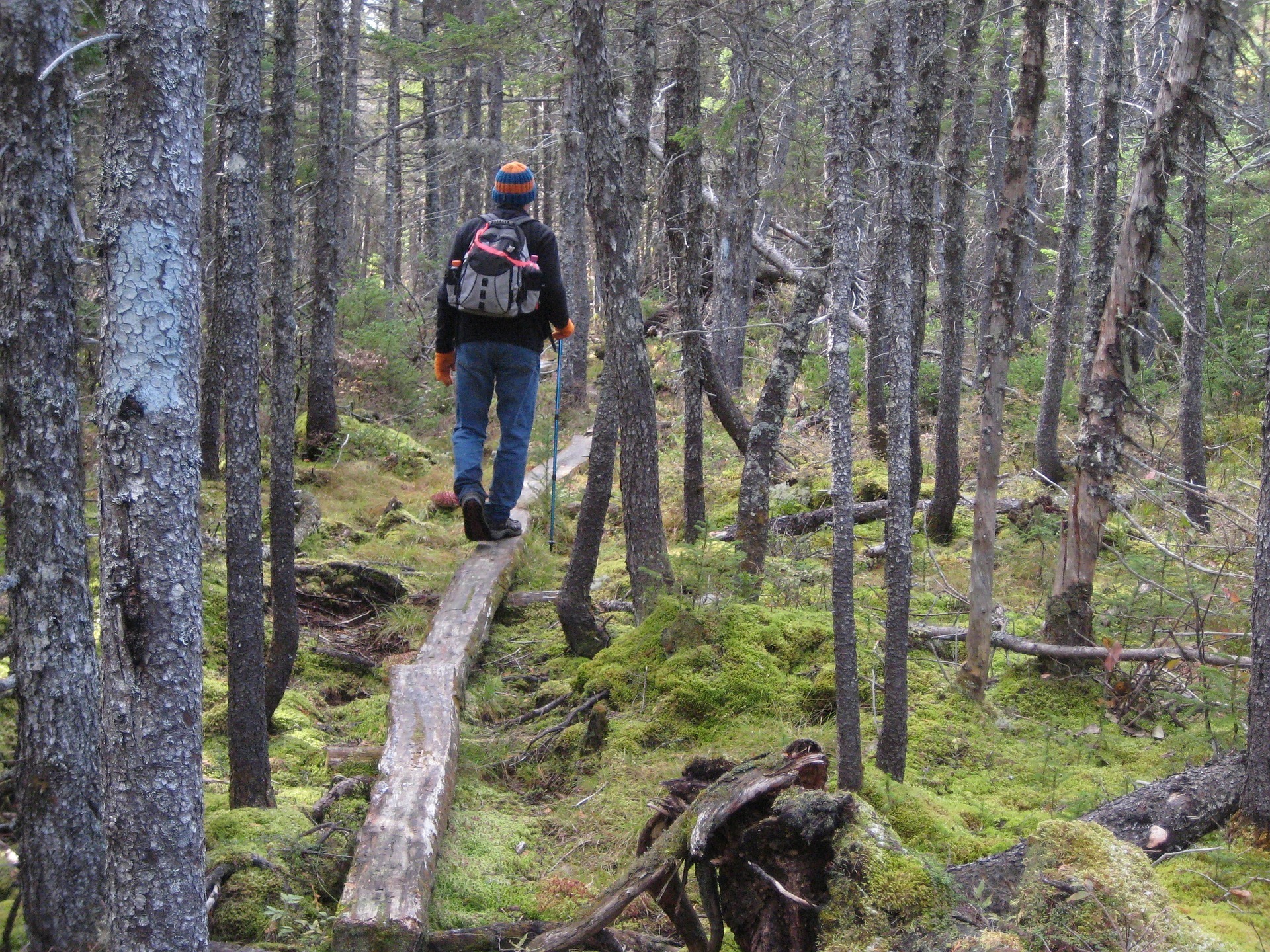 Scopri di più sull'articolo Il 6 e il 7 maggio 2017 passeggiata ecologica