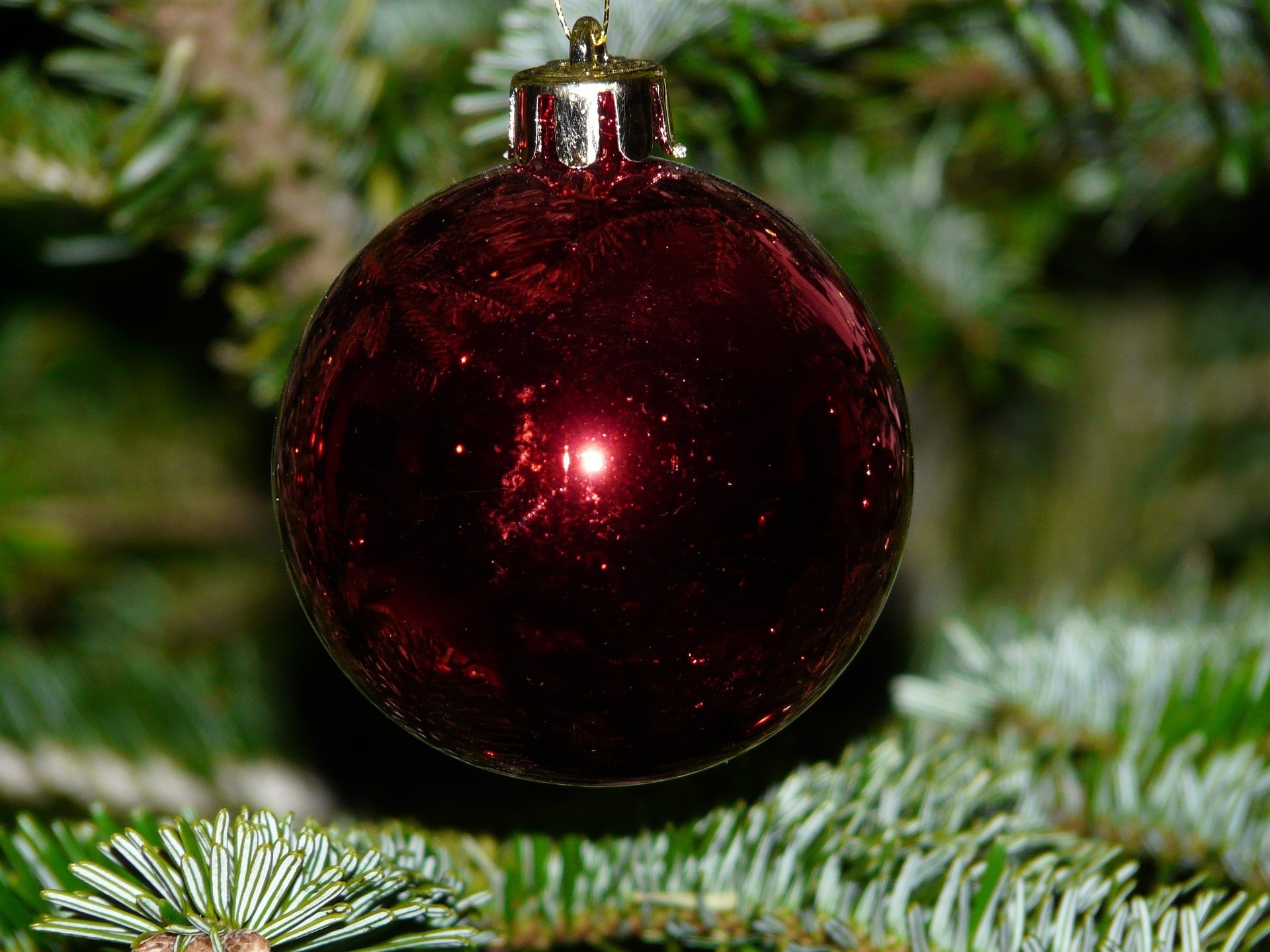 Scopri di più sull'articolo Tutti gli appuntamenti per il Natale 2017
