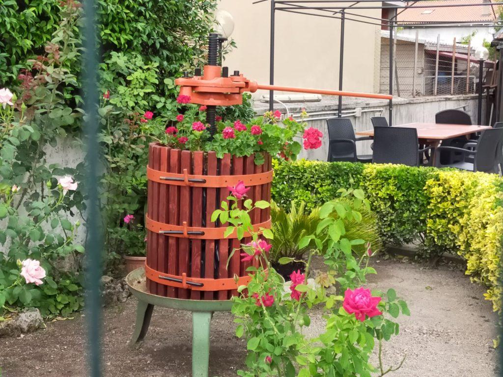 Al momento stai visualizzando Concorso “Balconi e Giardini fioriti e illuminati” 2020