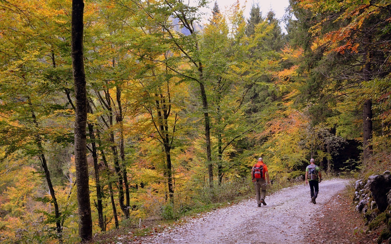 Scopri di più sull'articolo L’8 dicembre 2021 una ciaspolata a Monte Cardito