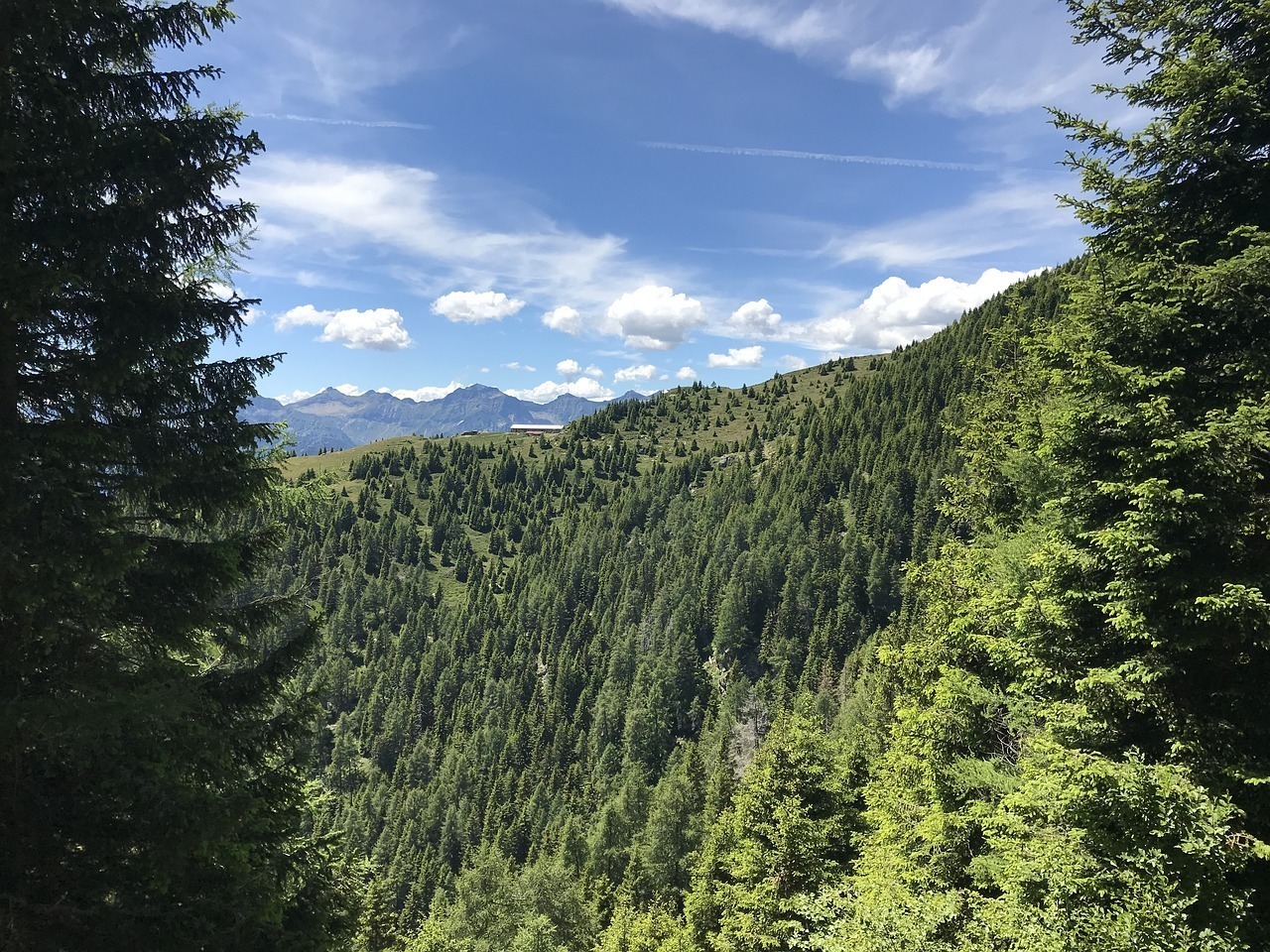 Scopri di più sull'articolo Il 21 maggio 2023 c’è la “Festa della Montagna”